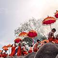 Kerala Elephant Festival