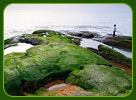 Kappad beach