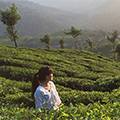 Munnar